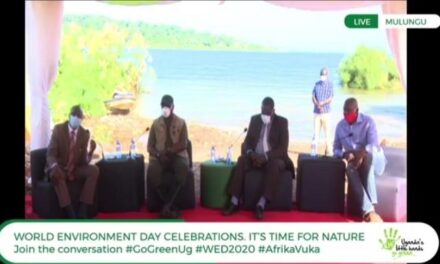 Deputy Speaker, Masembe, NEMA & NFA agree that human activities are key in determining the future of our planet