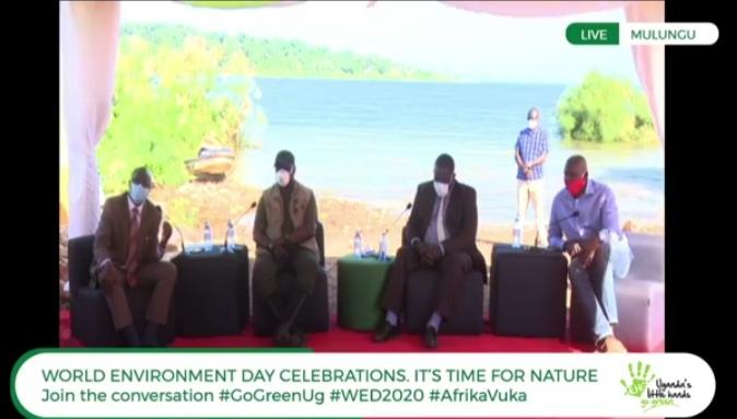 Deputy Speaker, Masembe, NEMA & NFA agree that human activities are key in determining the future of our planet