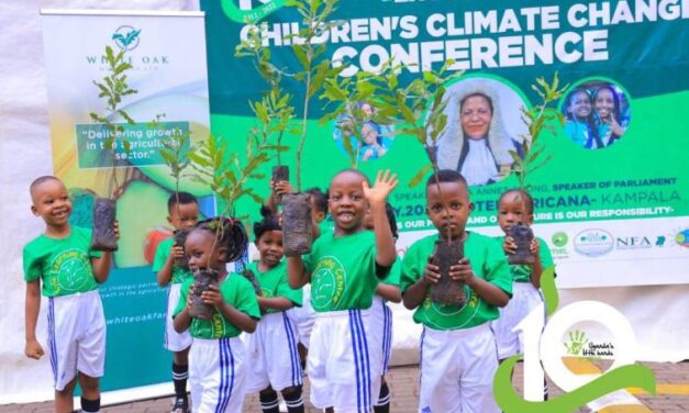 Celebrating a Decade of Green Climate Action