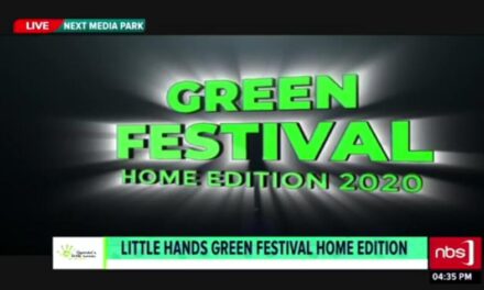 Green Festival Home Edition